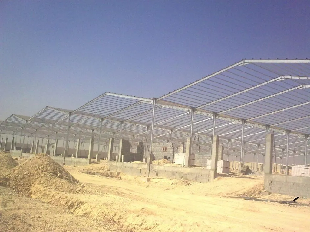 صورة المقال