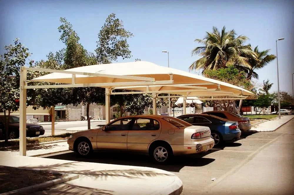 صورة المقال