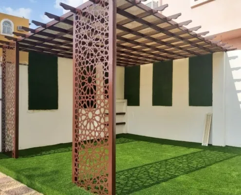صورة إضافية